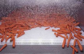 Объект: Конвейер с модульной лентой для мойки моркови