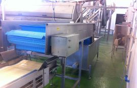 Объект: Конвейер с модульной лентой для транспортировки мытой моркови