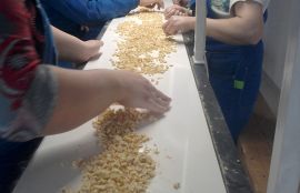 Объект: Конвейер для сушеных трав - контрольно-инспекционный стол для проверки сырья