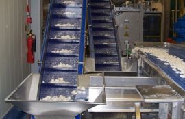 Объект: Наклонный модульный конвейер для пельменей