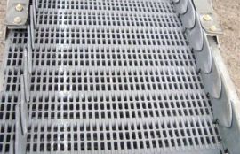 L-образный модульный конвейер для мытого резанного картофеля - фото 4